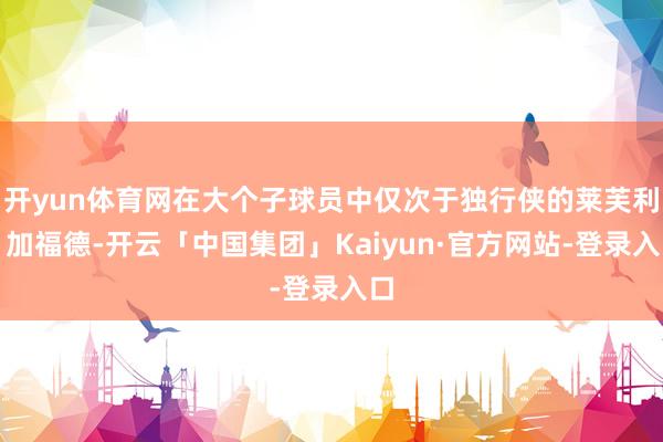 开yun体育网在大个子球员中仅次于独行侠的莱芙利、加福德-开云「中国集团」Kaiyun·官方网站-登录入口